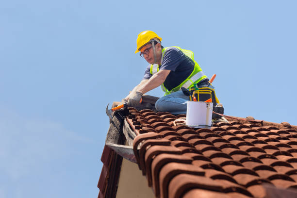 Fast & Reliable Emergency Roof Repairs in Argentine, MI